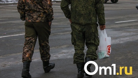 В Минобороны сообщили, когда омские мобилизованные будут получать соцвыплату