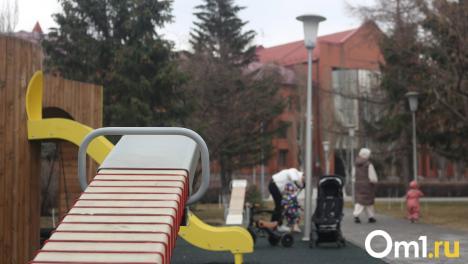 В Омске не вернулась с прогулки 9-летняя девочка