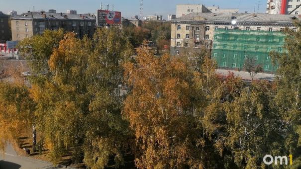 +15 градусов: последняя тёплая суббота ожидает новосибирцев
