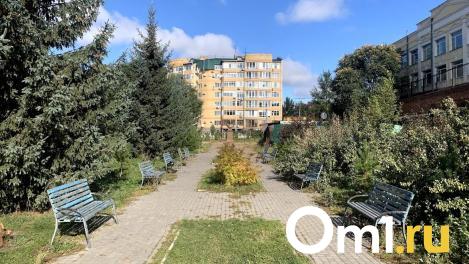 Омский заяц из Городского сада перебрался к Александру Первому