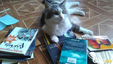 Что станет с книгами после принятия закона о пропаганде ЛГБТ, рассказал новосибирский юрист