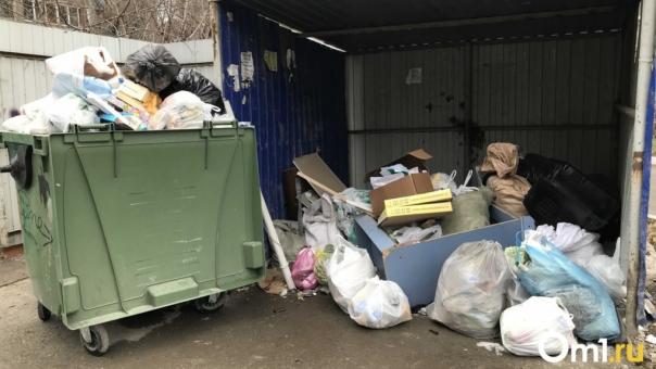 «Экология-Новосибирск» обвинила участников забастовки в саботаже и обратилась в полицию
