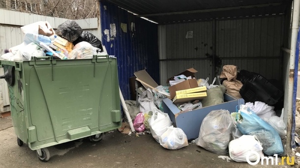 «Экология-Новосибирск» обвинила участников забастовки в саботаже и обратилась в полицию