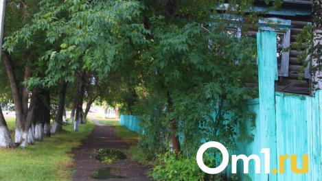 В Омской области появился новый вид экотуризма — отдых в избе