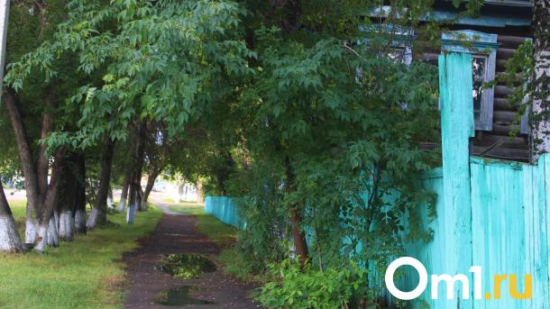 В Омской области появился новый вид экотуризма — отдых в избе