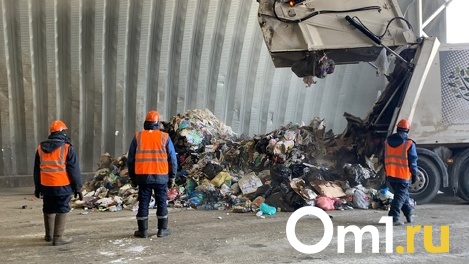 Четыре мусорных полигона построят в Новосибирской области