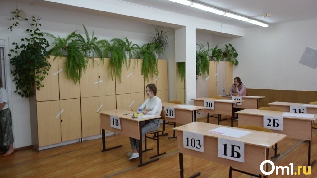 1 031 выпускник провалил ЕГЭ-2022 в Новосибирской области