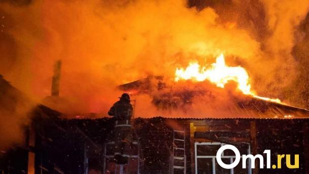 Четверо маленьких детей вместе с матерью погибли при пожаре в Новосибирской области