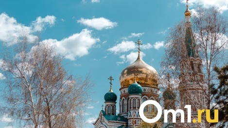 Изменение климата, ухудшение воздуха, воды и почвы: как помочь Омску стать чище?