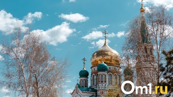 Изменение климата, ухудшение воздуха, воды и почвы: как помочь Омску стать чище?