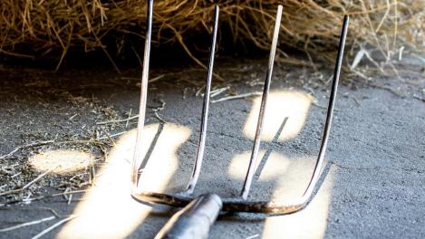 Зубцы вошли в череп на 11 см: о спасении мужчины с вилами в голове рассказали в Новосибирске