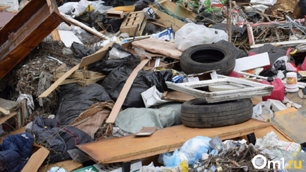 Глава Следкома РФ Бастрыкин поручил проверить мусорный полигон «Левобережный» в Новосибирске