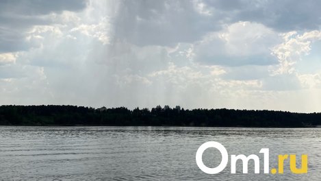 По Новосибирской области в 35-градусную жару прошли долгожданные дожди. ВИДЕО