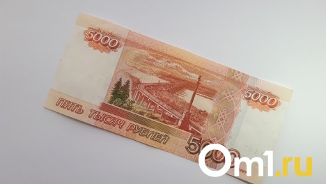 В Омской области снизилось количество фальшивых банкнот