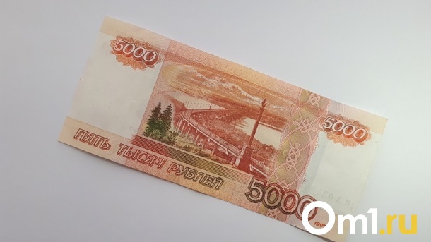 В Омской области снизилось количество фальшивых банкнот