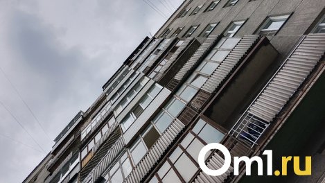 Четвероклассница выпала из окна дома в Новосибирской области