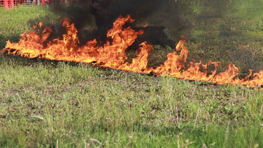 Пожароопасность пятого класса: режим ЧС объявили в Новосибирской области из-за гибели урожая