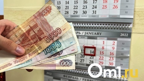 Стал известен самый богатый руководитель района в Омской области