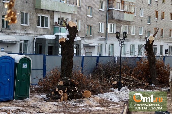 Двораковский предложил омичам проконтролировать озеленение улицы Валиханова
