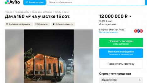 В Омске за 12 миллионов продают дачу с двумя домами