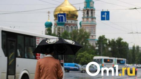 Гидрометцентр спрогнозировал холодный май с осадками в Омской области
