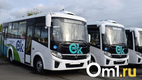 После трёхдневного фестиваля омичей развезут по домам на больших автобусах