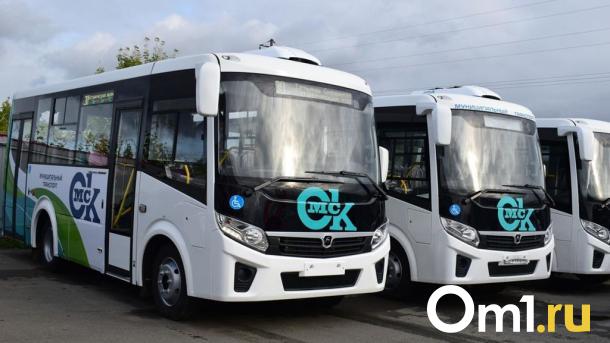 После трёхдневного фестиваля омичей развезут по домам на больших автобусах