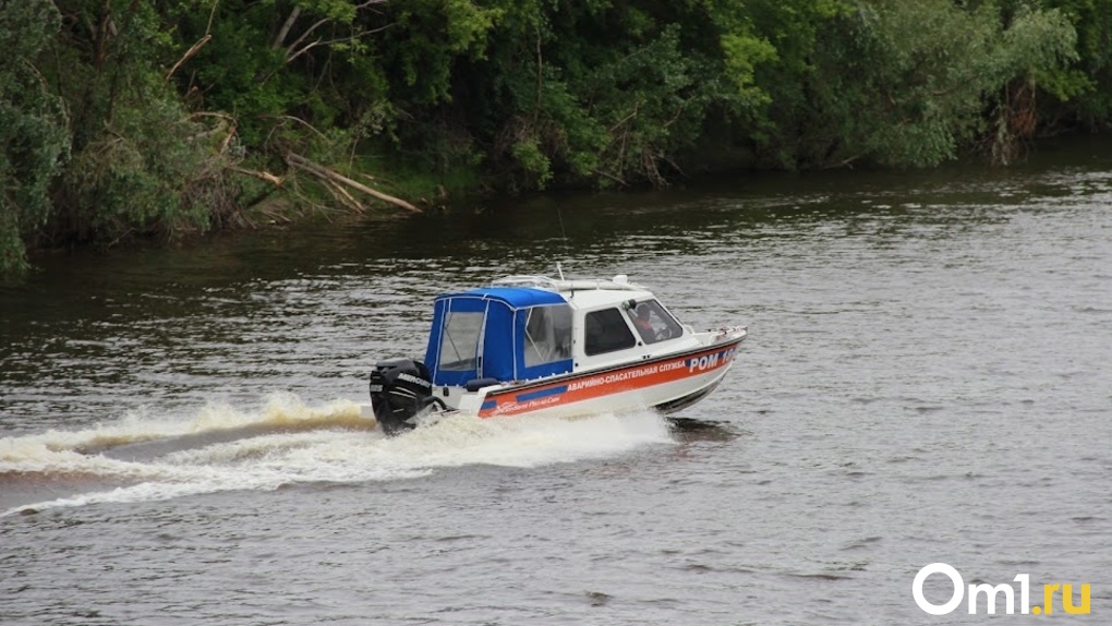 26-летний мужчина утонул у Димитровского моста в Новосибирске