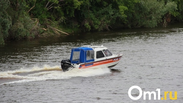 26-летний мужчина утонул у Димитровского моста в Новосибирске