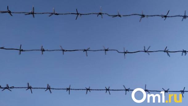 Выкидывали через окно: в Омске будут судить супругов, пытавшихся сбыть наркотики