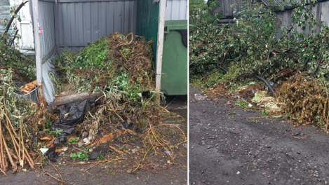 Регоператор попросил новосибирцев не выбрасывать «вершки и корешки» в мусорные контейнеры