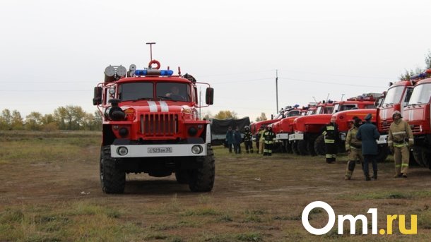 Очевидцы сообщили о задымлении в парке 300-летия Омска