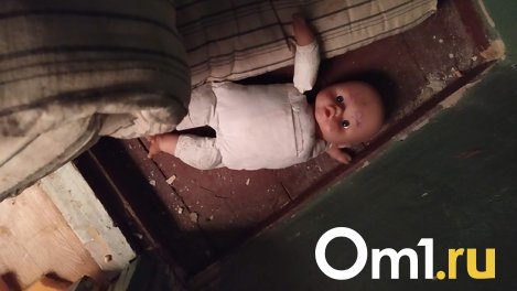 В Омской области маленькая девочка в мороз бегала по улицам голой