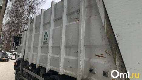 Мусорная дилемма. Как нужно решать проблему с вывозом отходов в Новосибирске