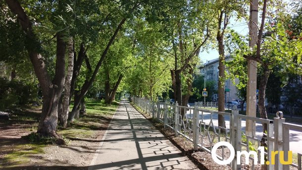 Сотрудники МЧС предупредили новосибирцев о возвращении жары в августе