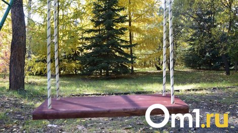 Детский омбудсмен заявила, что омичи не общаются с дочкой, которую забрали в приёмную семью в Рубцовск