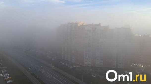 В Омске густой туман с утра накрыл Левобережье