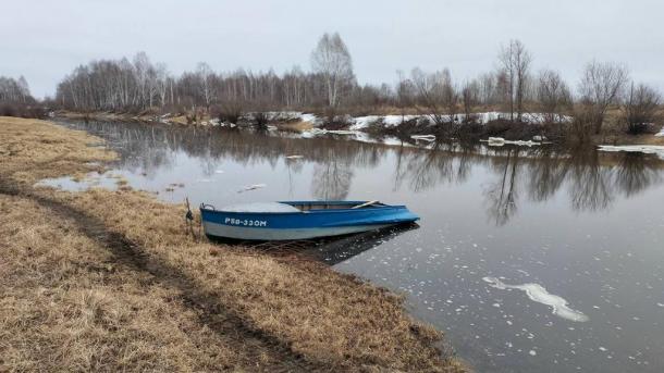 Семь бобров стали жертвами незаконной охоты в Омской области