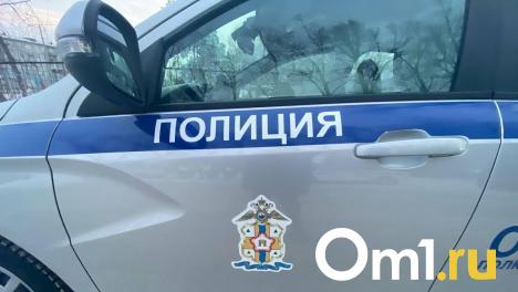 Иномарка сбила 10-летнюю омичку, переходившую дорогу