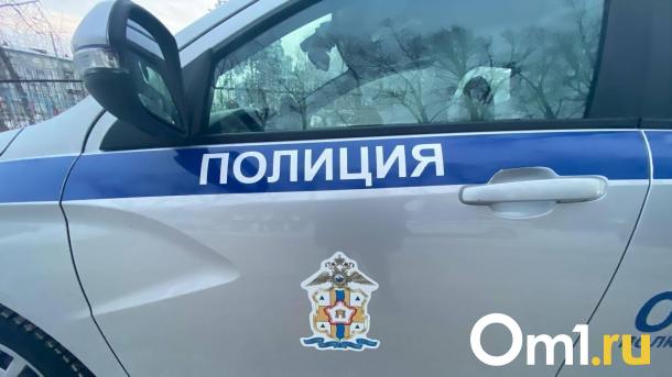 Иномарка сбила 10-летнюю омичку, переходившую дорогу