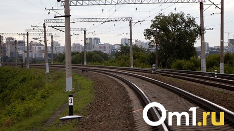 Два грузовых вагона сошли с рельсов в Новосибирской области