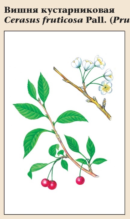 Изображение фоторепортажа