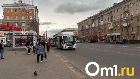В полиции назвали топ-6 омских остановок по количеству карманных краж