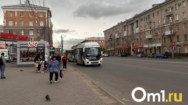 В полиции назвали топ-6 омских остановок по количеству карманных краж