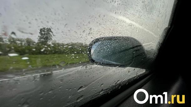 В Омской области объявили штормовое предупреждение из-за сильного ветра