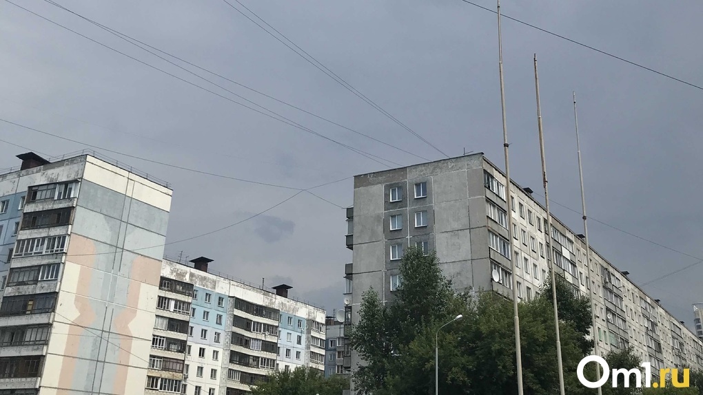 Жара до +31 градуса и порывистый ветер ожидаются в Новосибирске