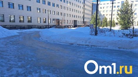 Омичей предупредили о гололёде и сильном ветре