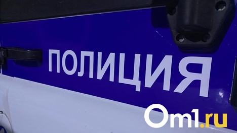 Омская школьница на велосипеде попала под машину