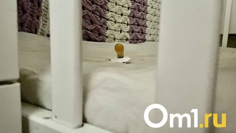 В Омске в ещё одной квартире нашли труп младенца