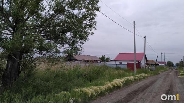 Одинокие жители: в восьми деревнях Омской области осталось по одному человеку